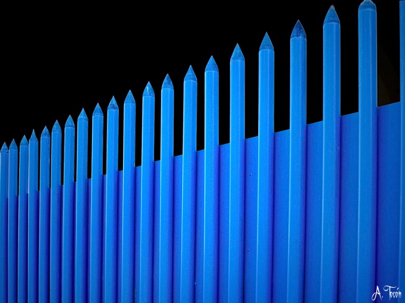 Barrotes azules