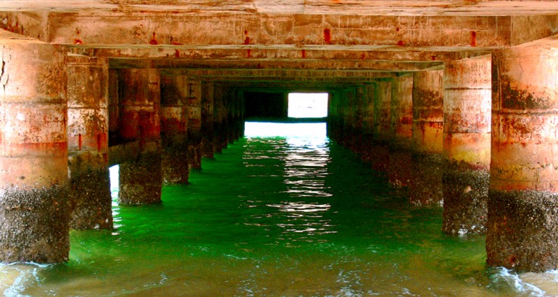 Bajo el muelle