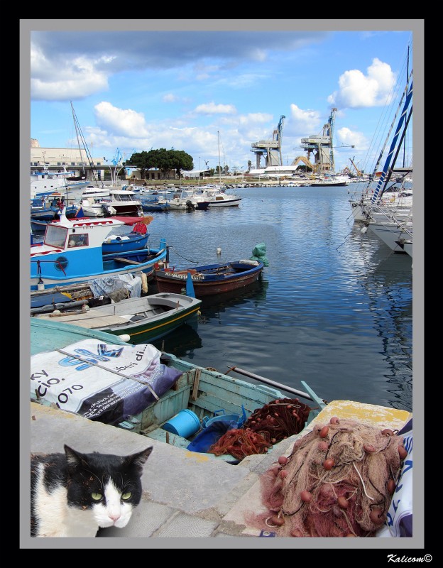 Puerto de Palermo