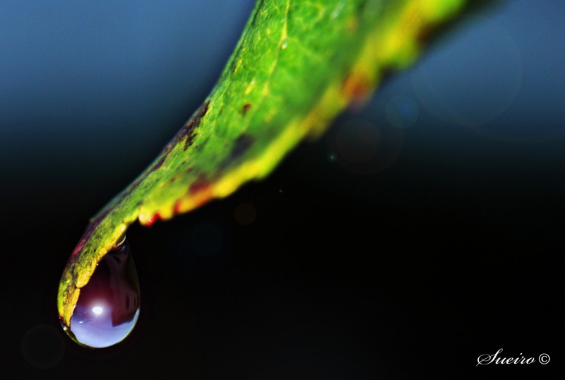 Una gota, un mundo