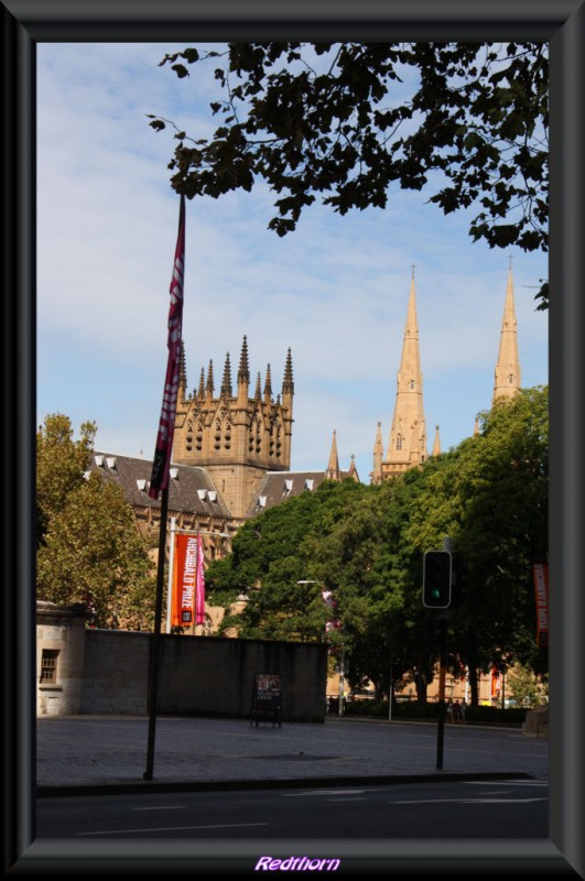 Torres y agujas catedral catlica St. Mary de Sydney