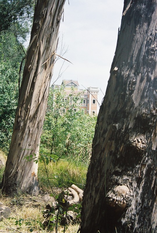 Castillo escondido