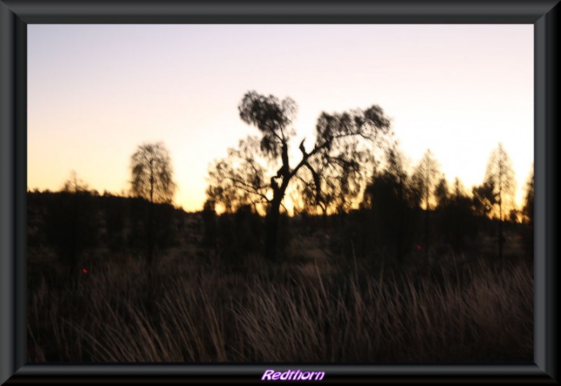 Amanecer en Uluru, Parque Nacional