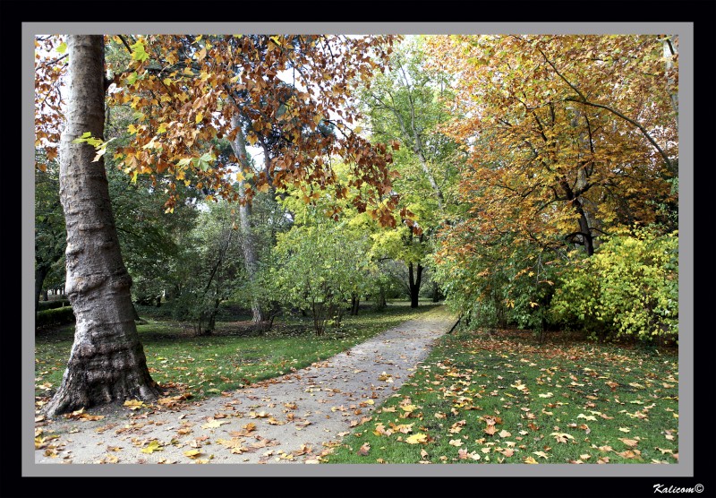 Vienes a dar un paseo?