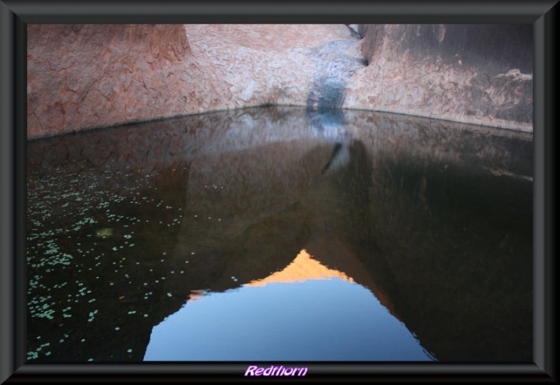 Reflejos en el estanque