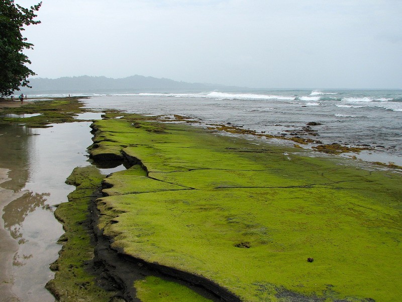 Manzanillo