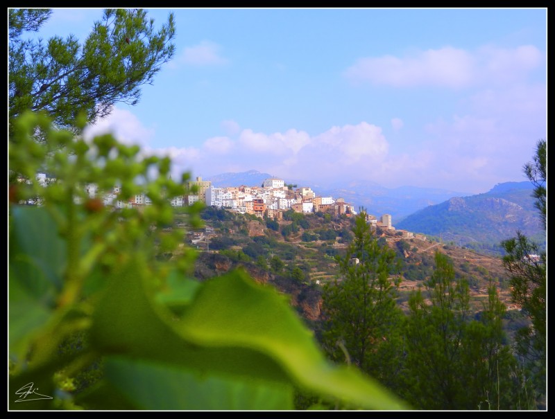 Panormica de Llucena