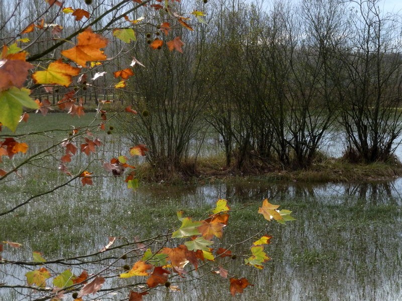 lluvia de otoo