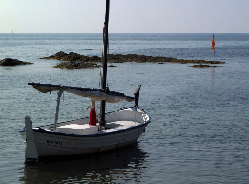 Rincon 82