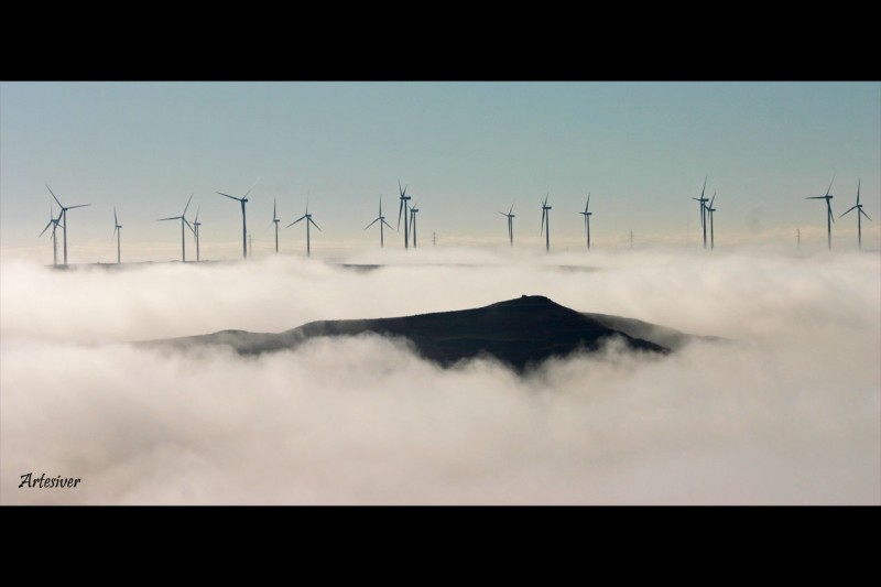 molinos y niebla