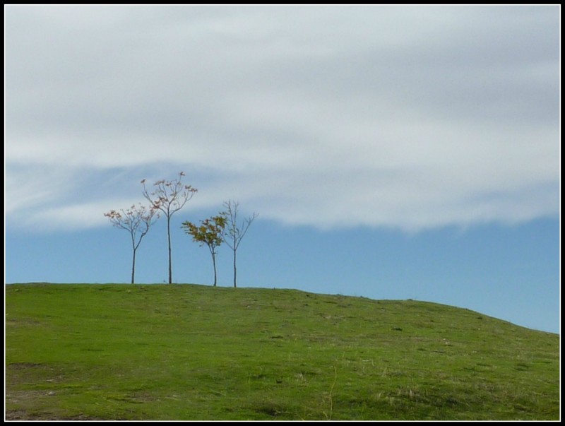 Cerca del Cielo