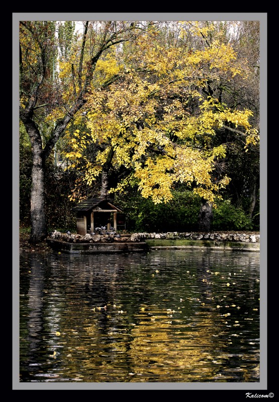 Reflejos de otoo
