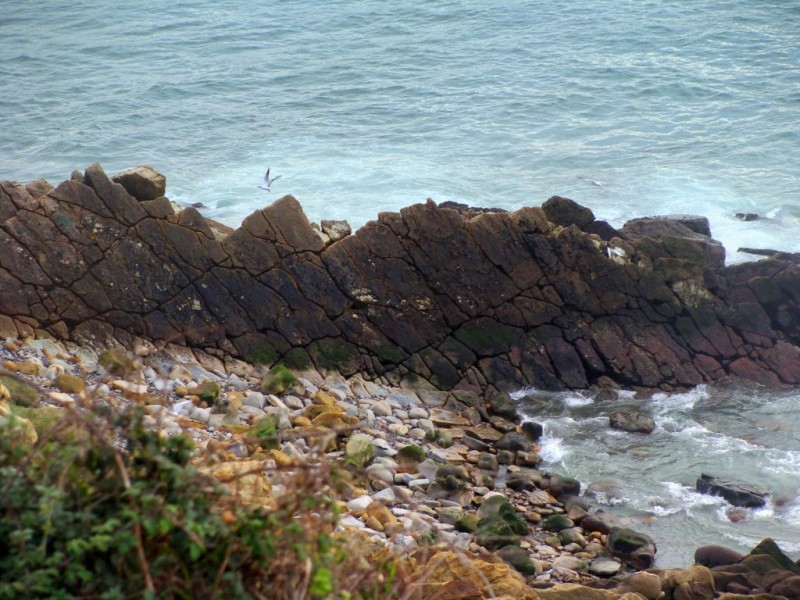 kantarepe