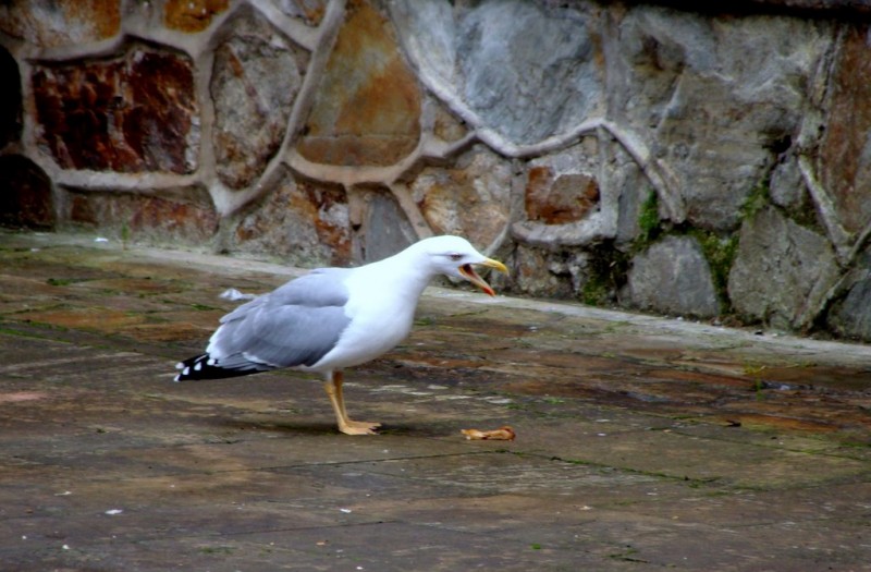 Un pintxo