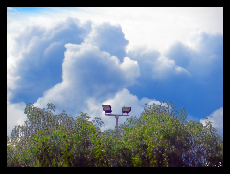 Observando el cielo.