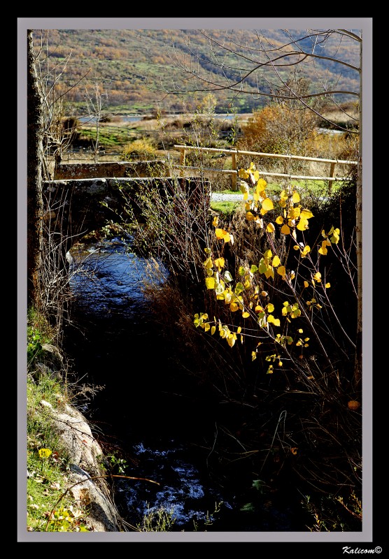 El puentecito del arroyo