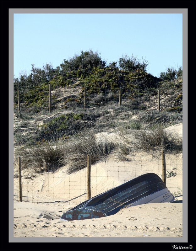 Abandonada a su suerte