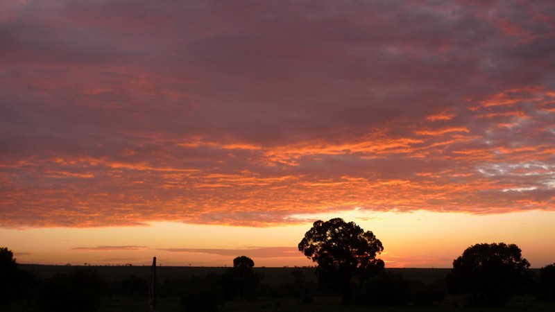 amanecer en Masai Mara
