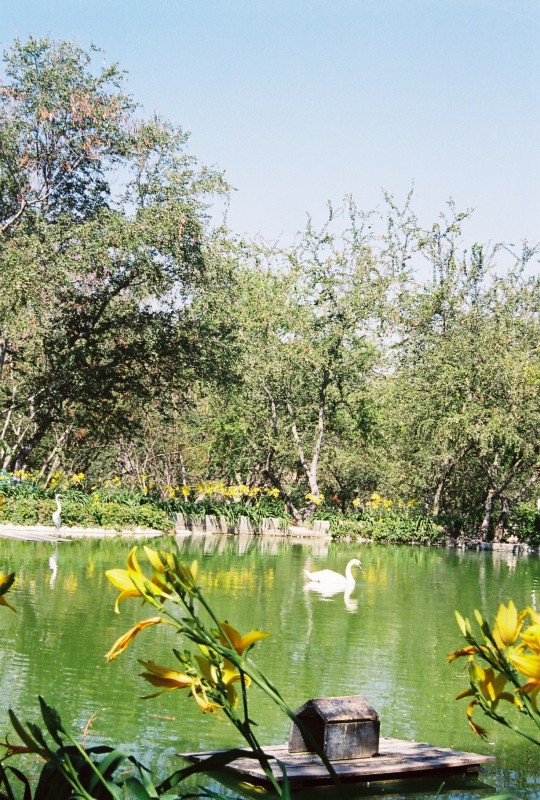 Casita sobre el lago