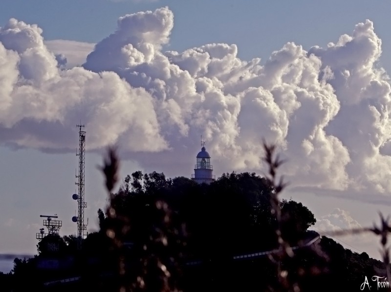 Faro22