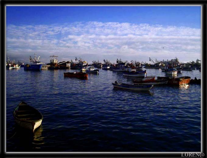 Muelle coronel