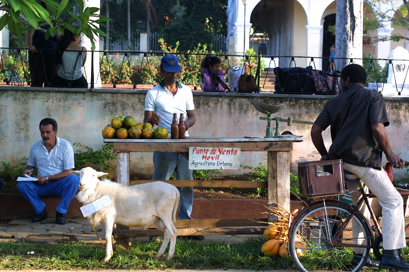 Mercado