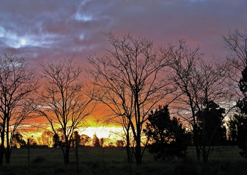 ATARDECER SOLITARIO