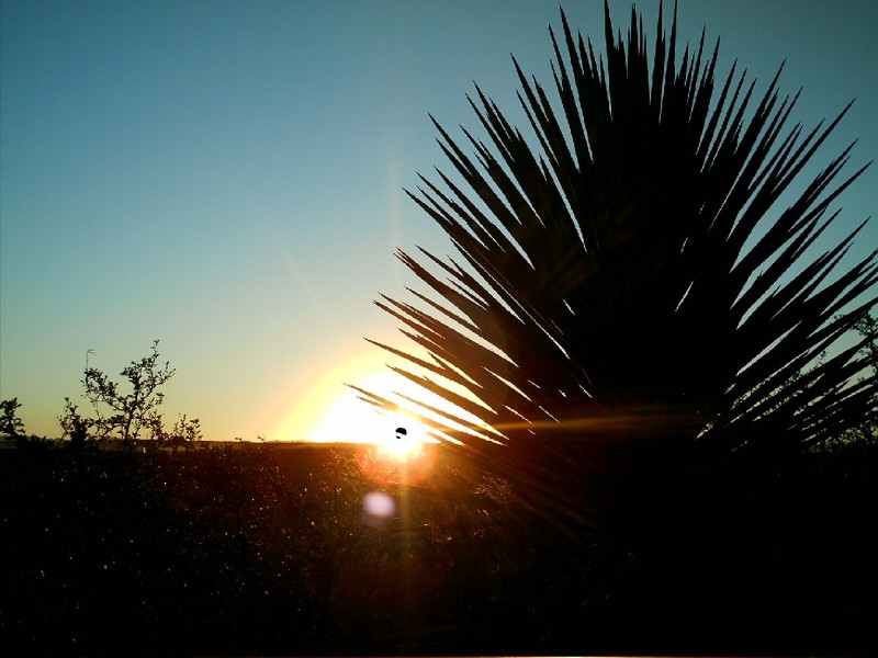 Atardecer en el desierto