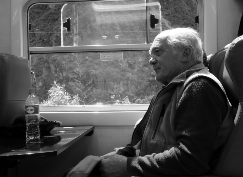 Hombre en el tren