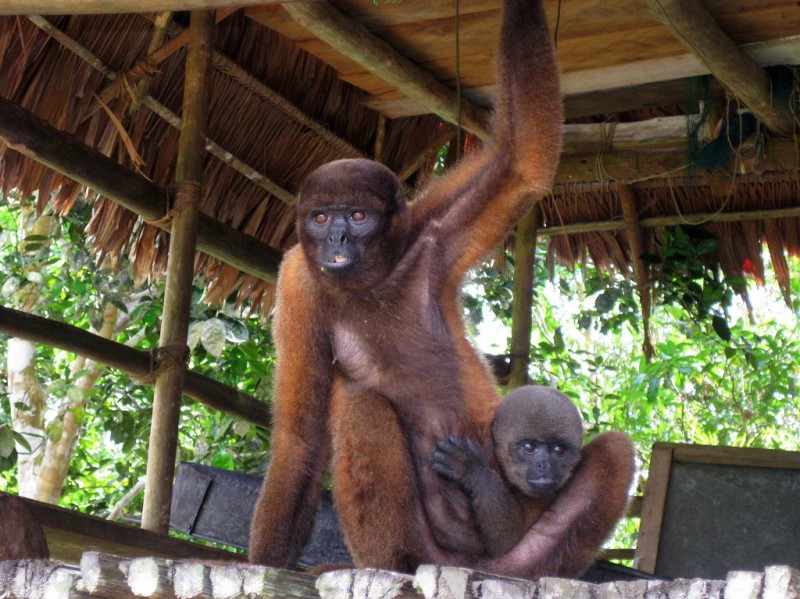 Madre e hijo