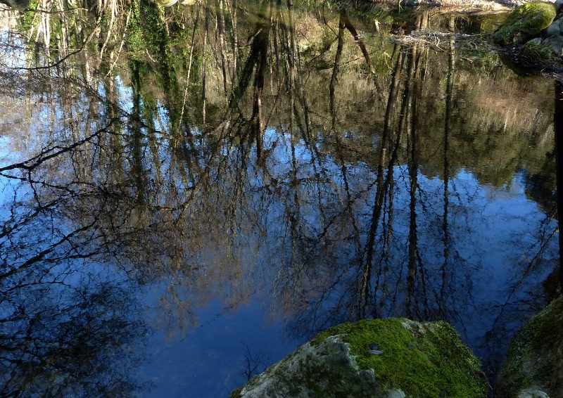 reflejo hivernal