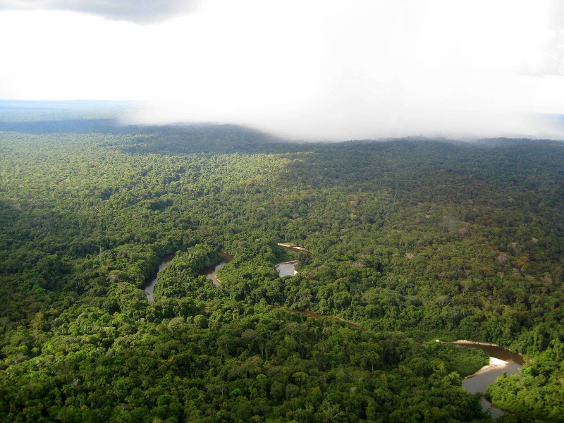 Tormenta sobre la selva