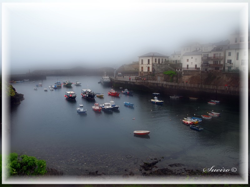 cae la niebla