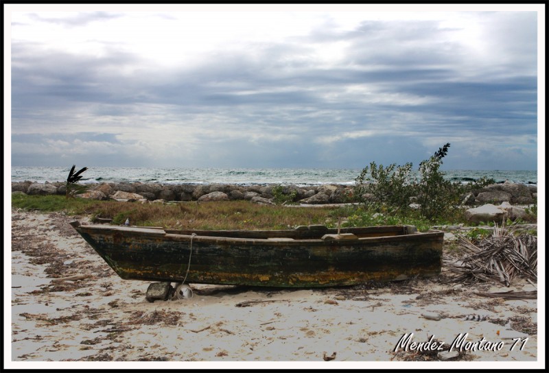 Abandonada en la playa