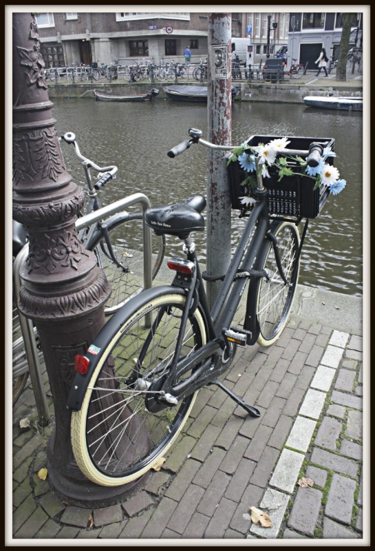 Bicicleta en Amsterdam
