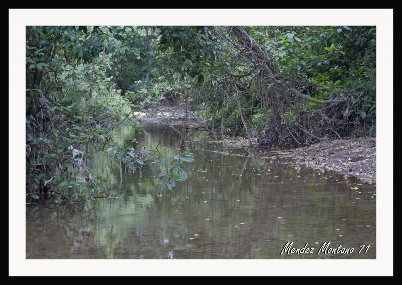 quebrada de agua