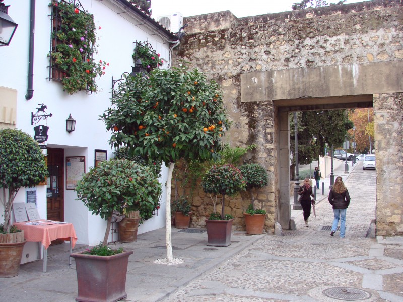 LA PUERTA