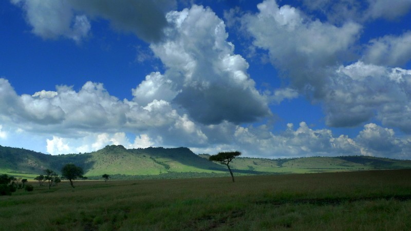 Sabana Mara