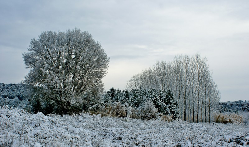 Hoy ha nevado