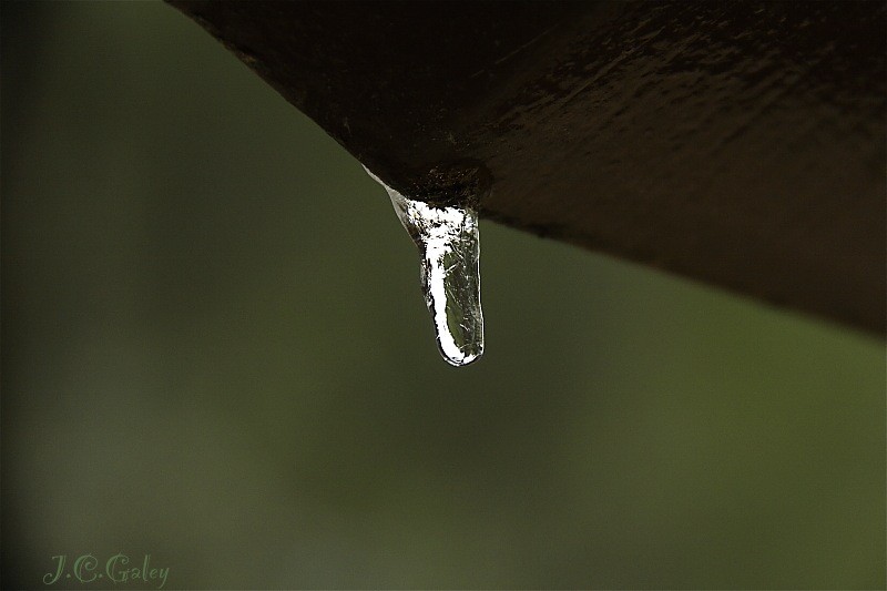 la gota fria