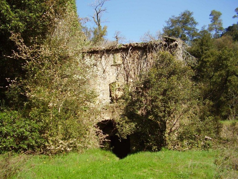 MOL AL RIU TENES. SANT QUIRZE DE SAFAJA. EL MOIANS. CATALUNYA