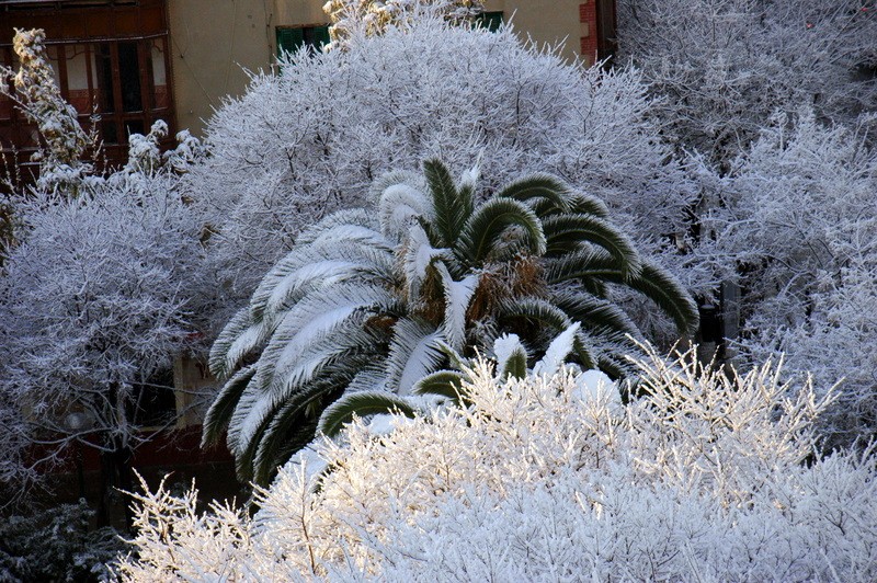 La nevada de hoy