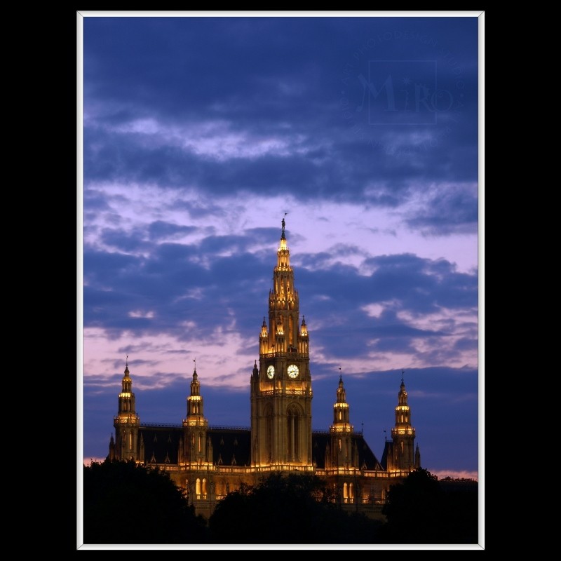 The Vienna City Hall