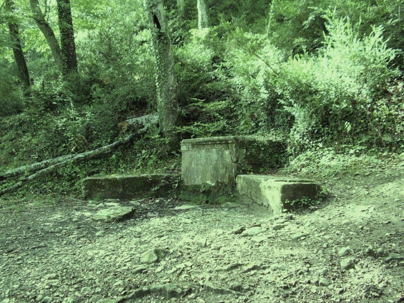 FONT DE LA FAGEDA DE  SAUVA NEGRA