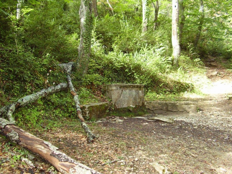 FONT DE LA FAGEDA DE  SAUVA NEGRA