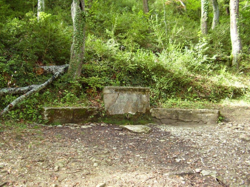 FONT DE LA FAGEDA DE  SAUVA NEGRA