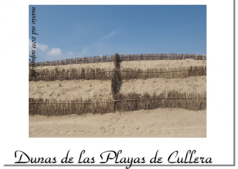 Dunas de las Playas de Cullera (Comunidad Valenciana - Espaa)