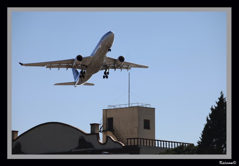 Vuelo rasante