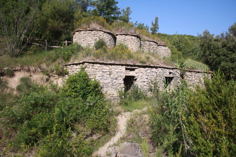 LES TINES DEL TORRENT DEL FLAQUER. 