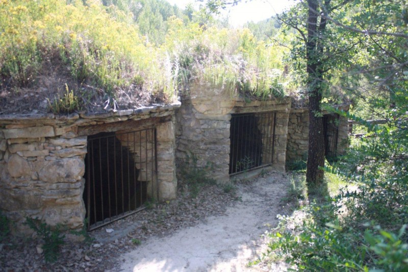 LES TINES DEL TORRENT DEL FLAQUER. 